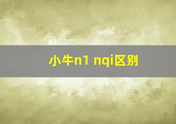 小牛n1 nqi区别